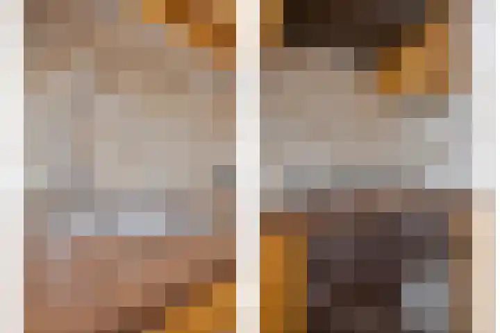 Noorderlaan 95 Dongen thumbnail 14