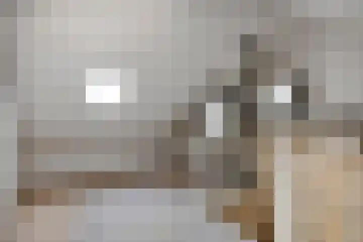 Noorderlaan 95 Dongen thumbnail 22