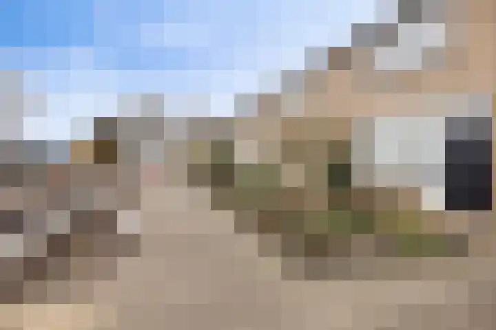 Noorderlaan 95 Dongen thumbnail 7