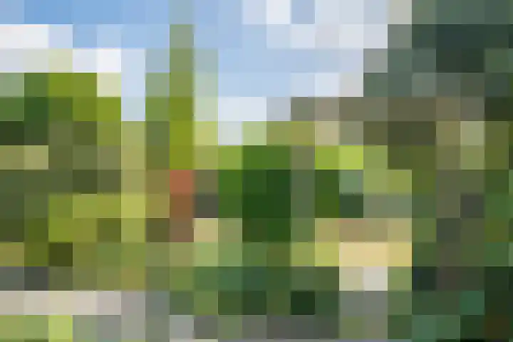 Noorderlicht 103 Heerhugowaard thumbnail 31