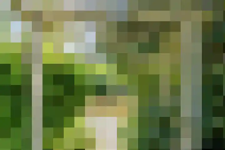 Noorderlicht 103 Heerhugowaard thumbnail 32