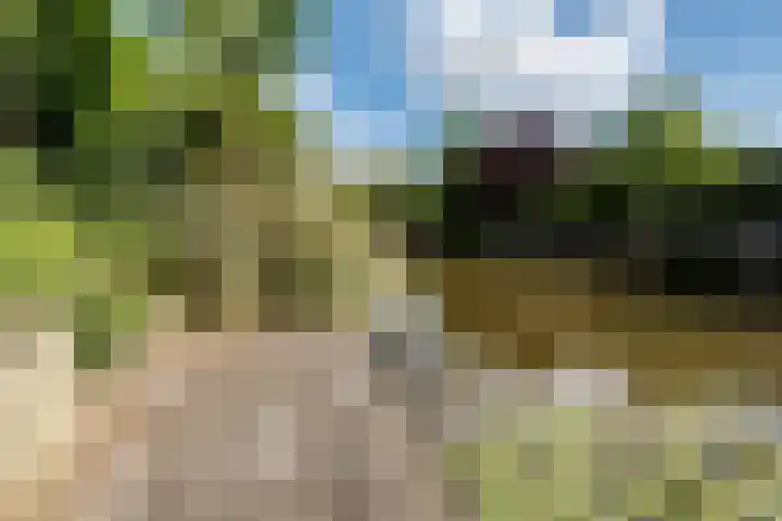 Noorderlicht 103 Heerhugowaard thumbnail 33