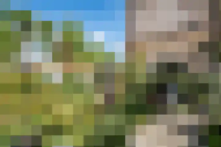 Noorderlicht 103 Heerhugowaard thumbnail 34