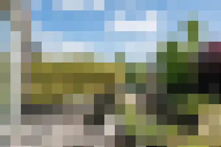 Noorderlicht 103 Heerhugowaard thumbnail 38