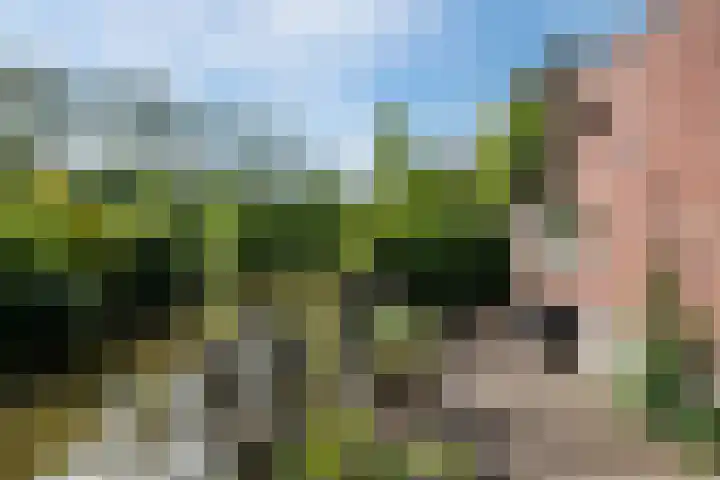 Noorderlicht 103 Heerhugowaard thumbnail 39