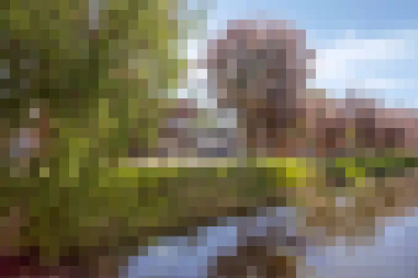 Noorderlicht 105 Amersfoort thumbnail 35