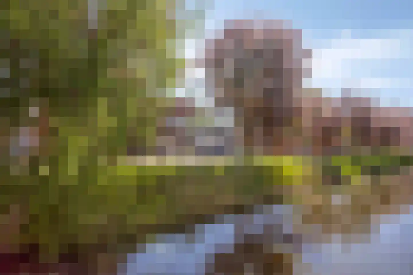 Noorderlicht 105 Amersfoort thumbnail 35