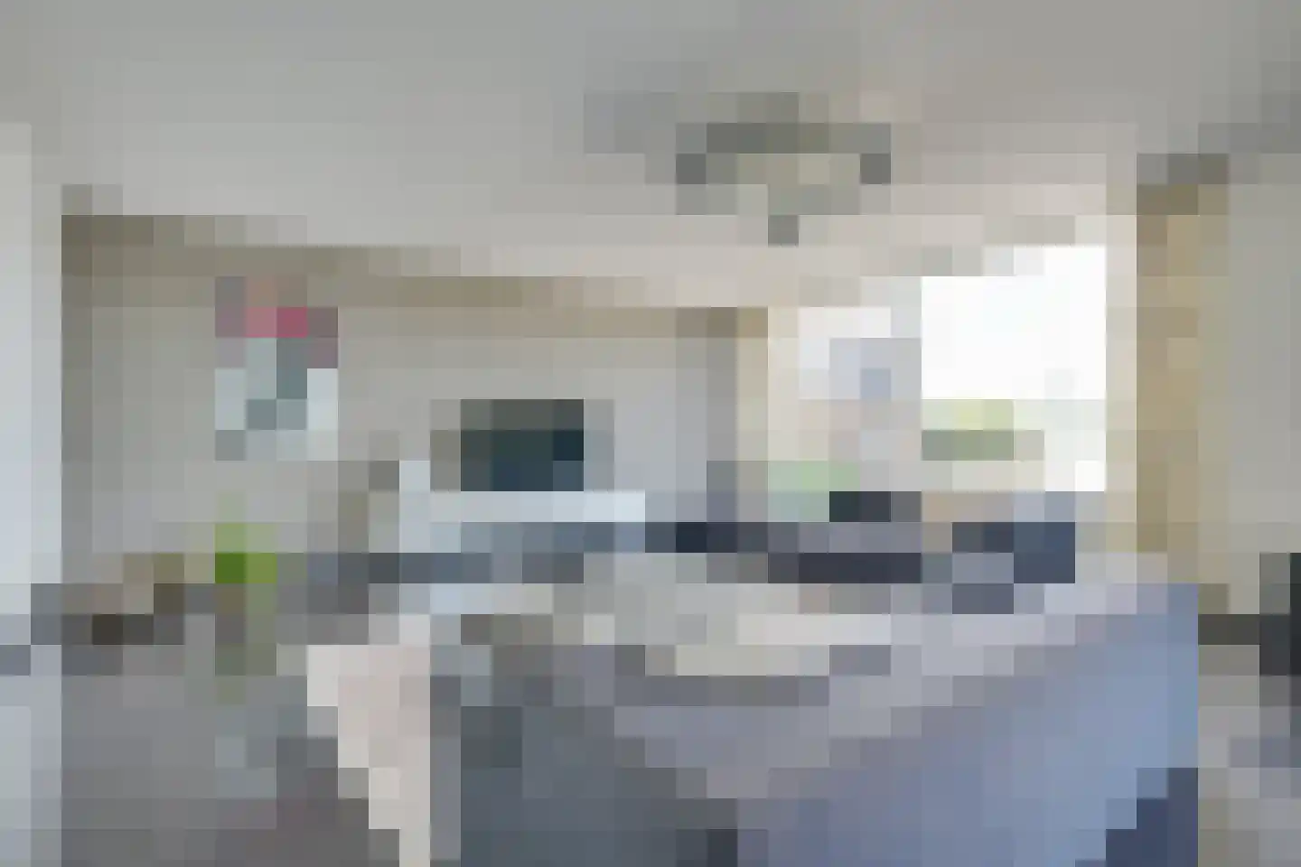 Noorderlicht 16 Heerhugowaard thumbnail 8