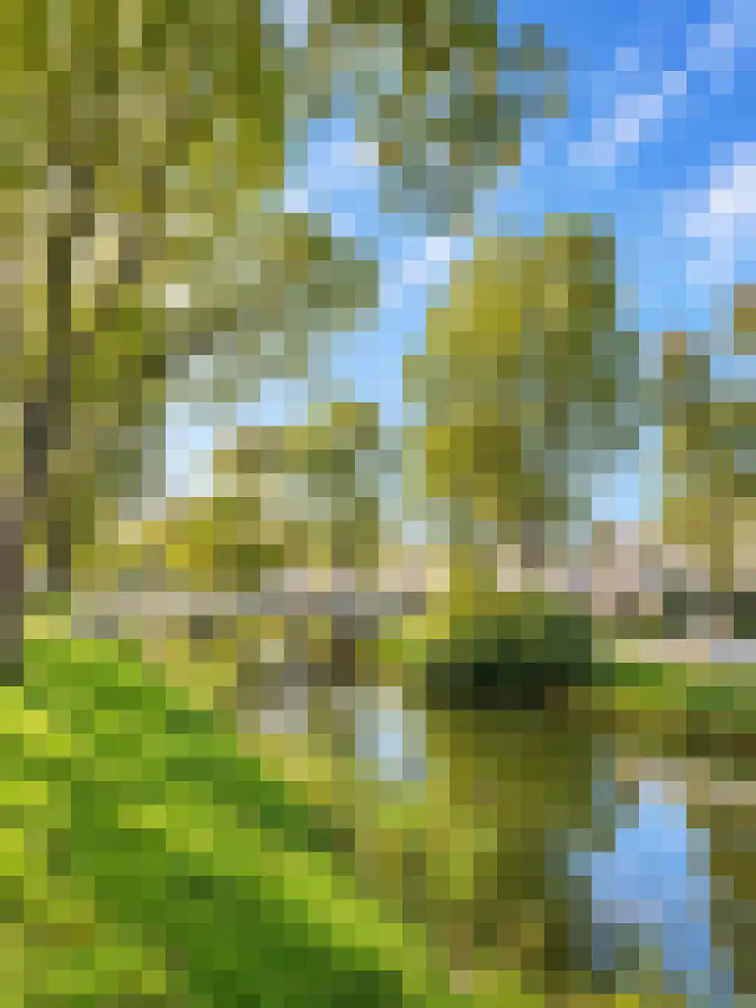 Noorderlicht 18 De Meern thumbnail 56