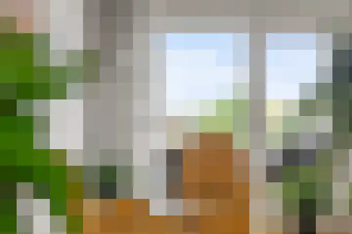 Noorderlicht 23 Amersfoort thumbnail 33