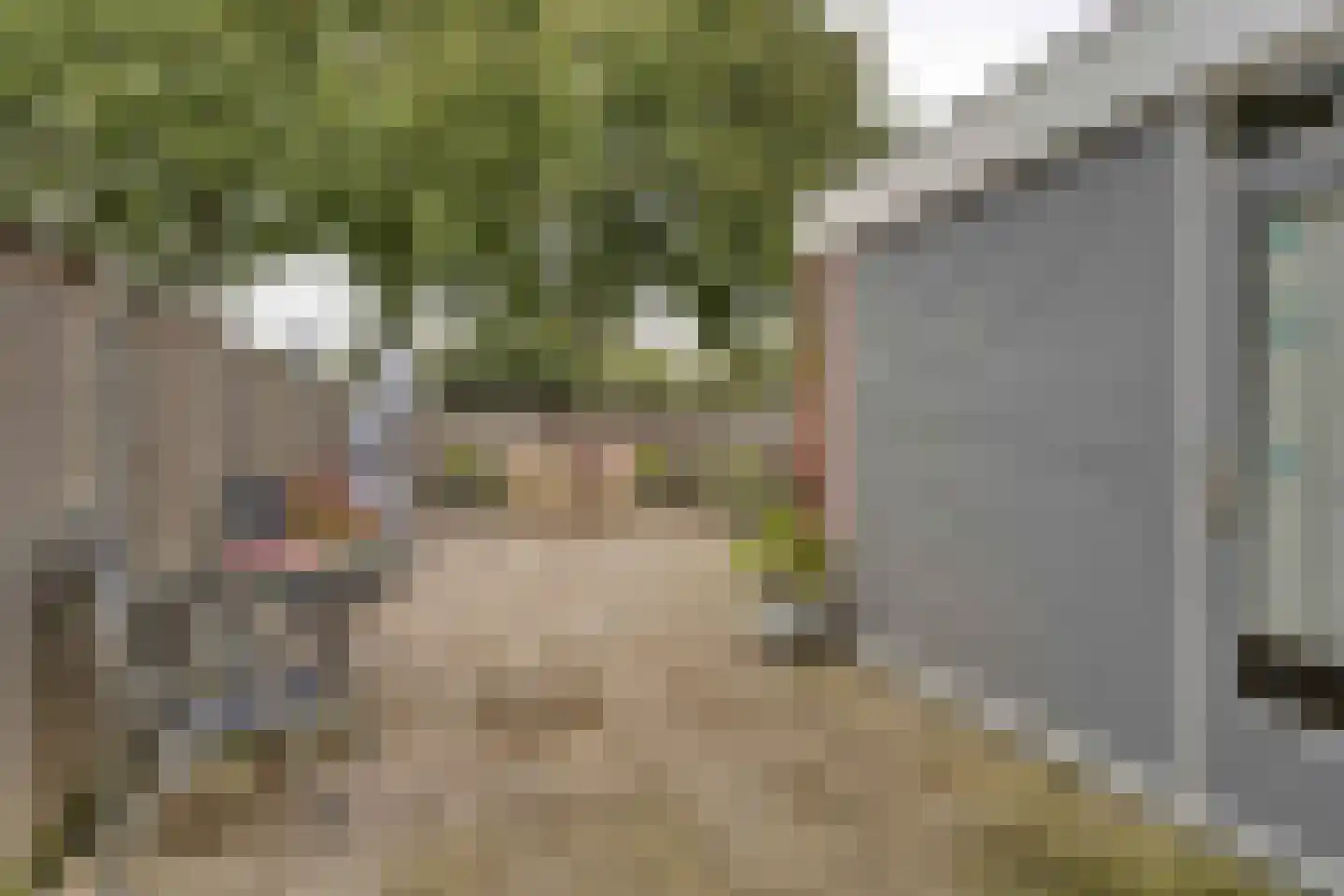 Noorderlicht 26 Katwijk thumbnail 32