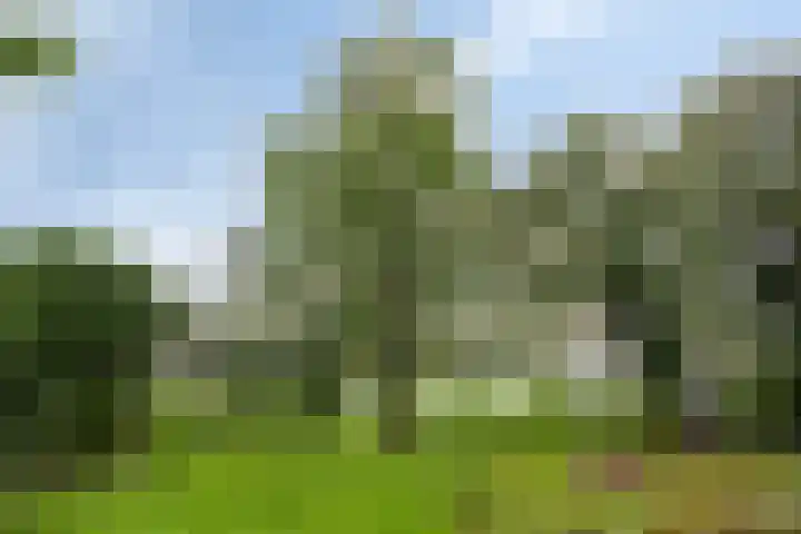 Noorderlicht 34 De Meern thumbnail 18