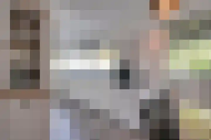 Noorderlicht 34 De Meern thumbnail 19
