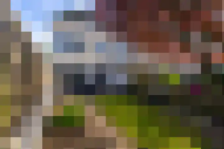 Noorderlicht 34 De Meern thumbnail 25