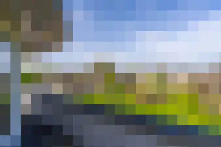 Noorderlicht 34 De Meern thumbnail 47