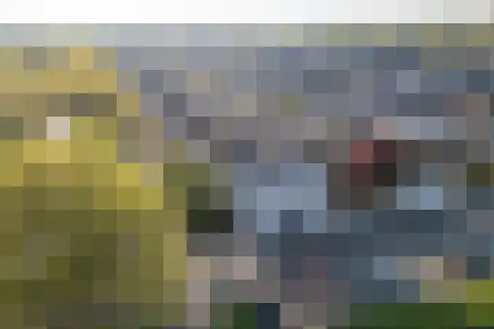 Noorderlicht 34 De Meern thumbnail 52