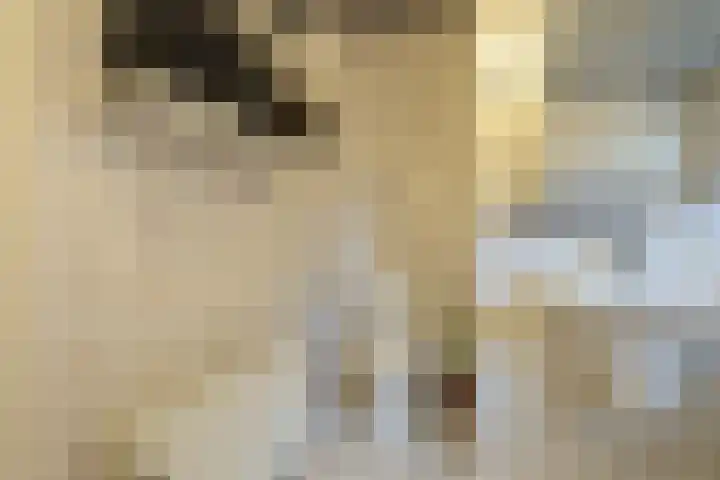 Noorderlicht 34 De Meern thumbnail 61