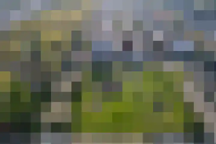 Noorderlicht 34 De Meern thumbnail 7