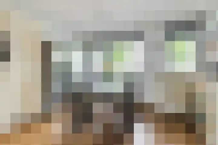 Noorderlicht 39 Heerhugowaard thumbnail 13