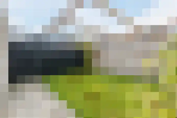 Noorderlicht 39 Heerhugowaard thumbnail 37