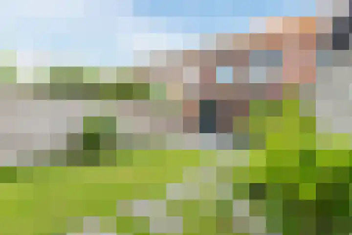 Noorderlicht 39 Heerhugowaard thumbnail 40