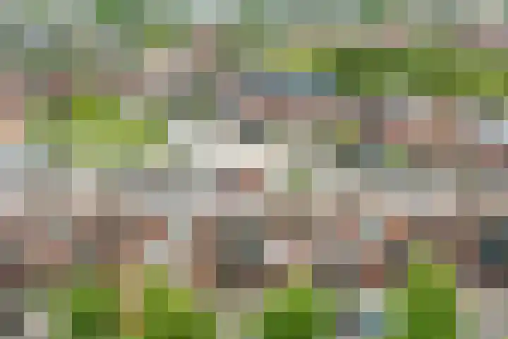 Noorderlicht 39 Heerhugowaard thumbnail 43