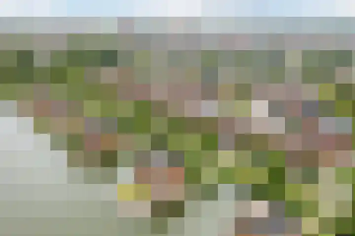 Noorderlicht 39 Heerhugowaard thumbnail 44