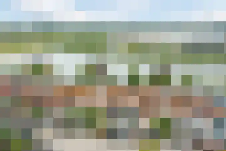 Noorderlicht 39 Heerhugowaard thumbnail 45