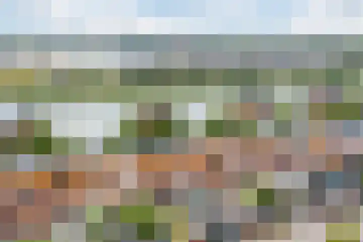 Noorderlicht 39 Heerhugowaard thumbnail 46