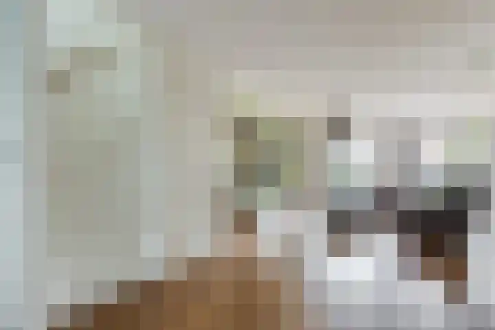 Noorderlicht 39 Heerhugowaard thumbnail 6