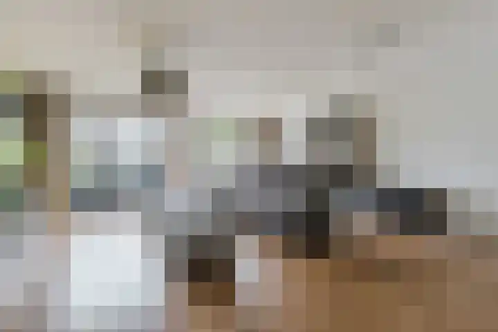 Noorderlicht 39 Heerhugowaard thumbnail 8