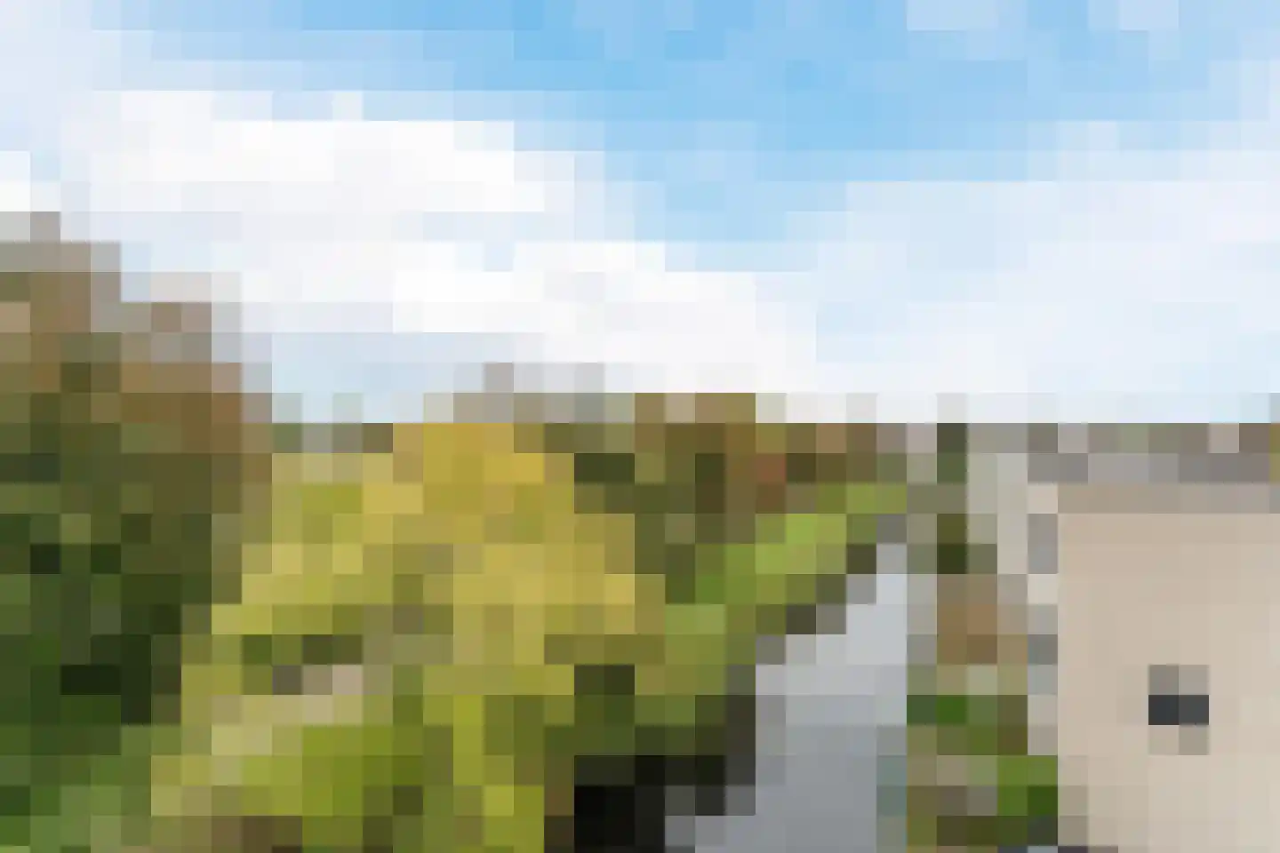 Noorderlicht 49 Amersfoort thumbnail 19