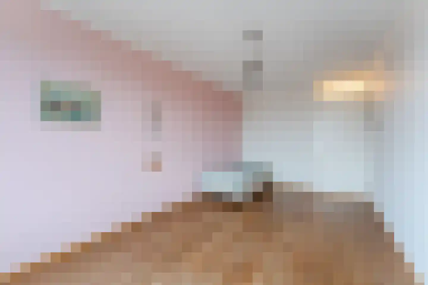 Noorderlicht 49 Amersfoort thumbnail 22