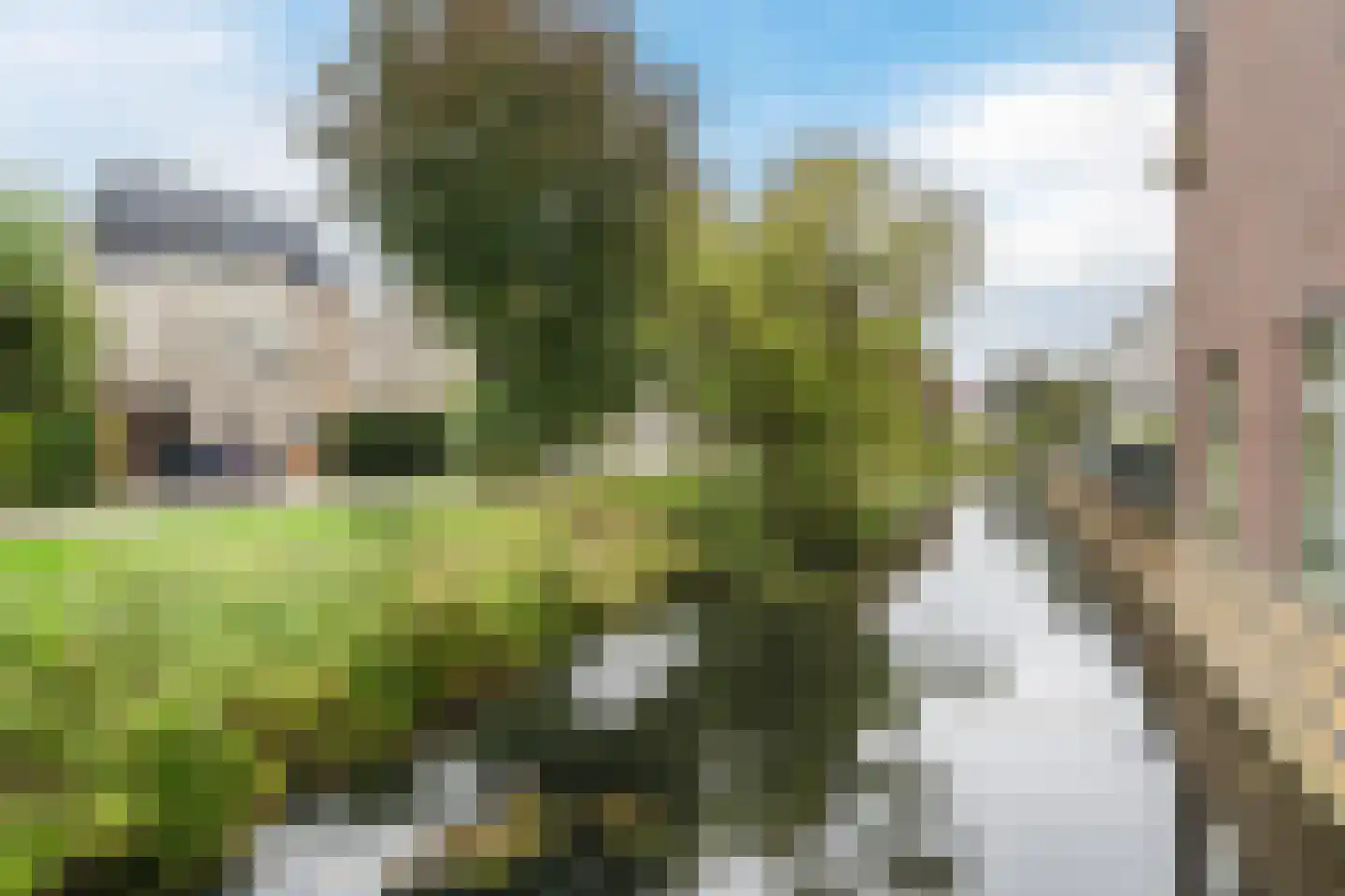 Noorderlicht 49 Amersfoort thumbnail 33