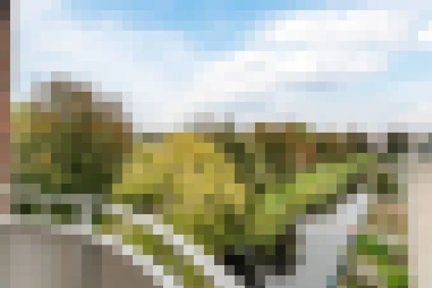 Noorderlicht 49 Amersfoort thumbnail 4
