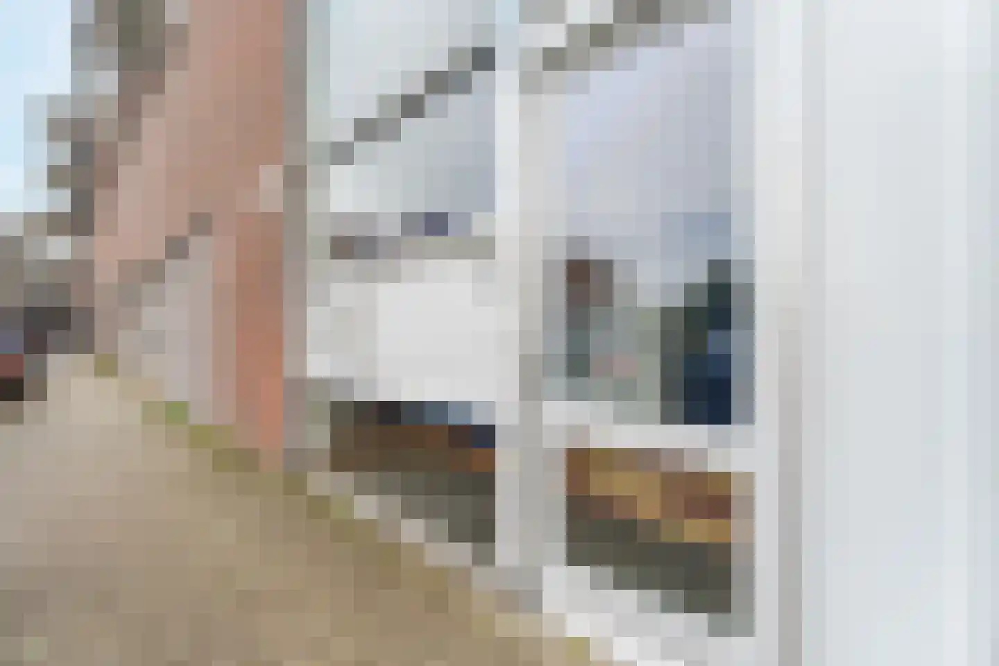 Noorderlicht 49 Amersfoort thumbnail 5