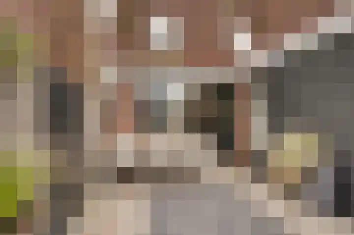 Noorderlicht 8 Katwijk thumbnail 33