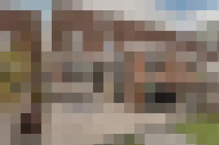 Noorderlicht 8 Katwijk thumbnail 35