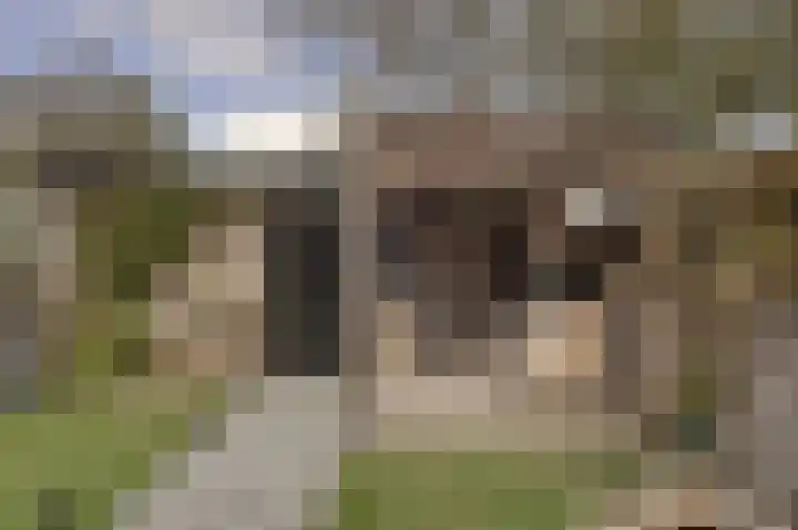Noorderlicht 8 Katwijk thumbnail 38