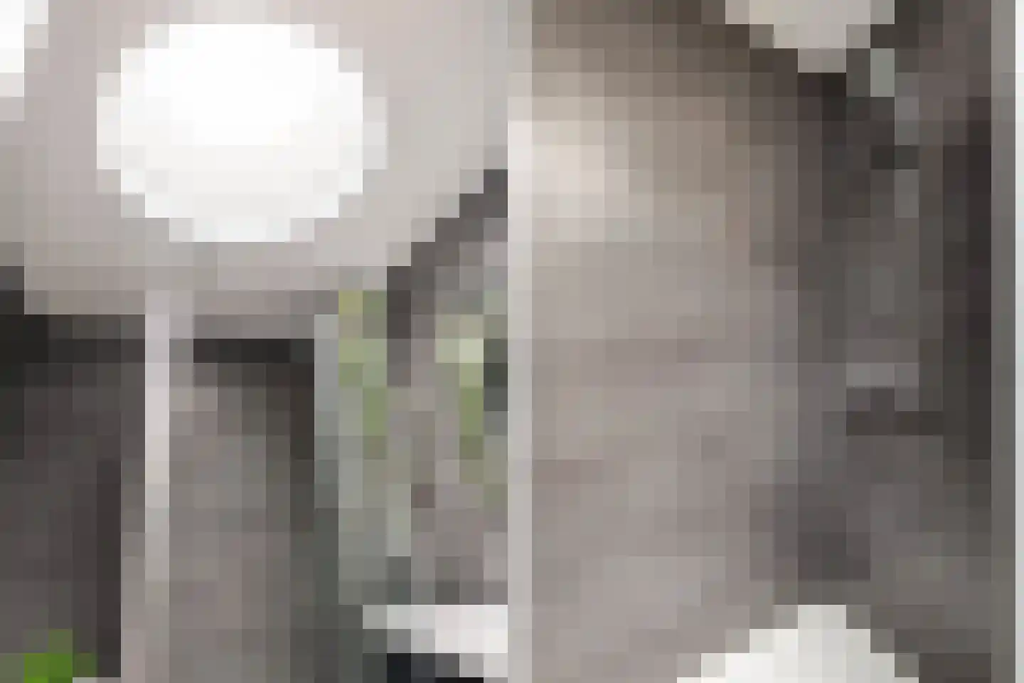 Noorderlicht 83 Amersfoort thumbnail 36