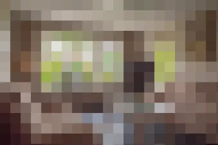 Noordermeent 14 Kraggenburg thumbnail 11
