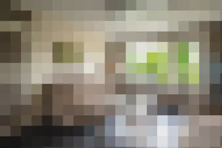 Noordermeent 14 Kraggenburg thumbnail 12