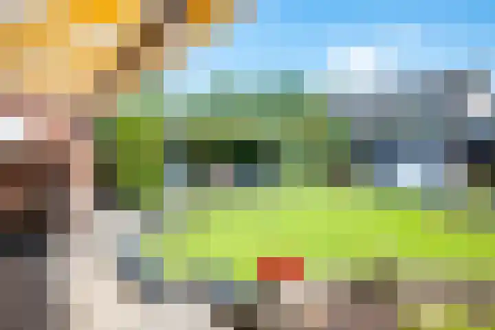 Noordermeent 14 Kraggenburg thumbnail 17