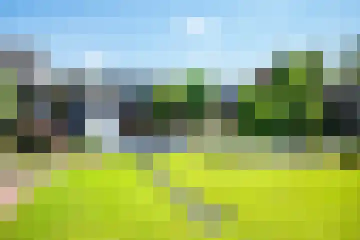 Noordermeent 14 Kraggenburg thumbnail 19
