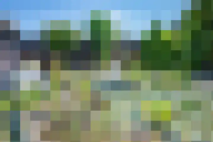 Noordermeent 14 Kraggenburg thumbnail 20