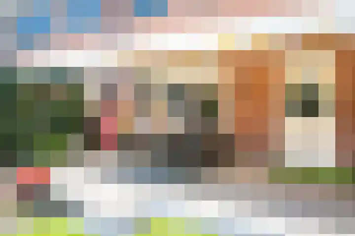 Noordermeent 14 Kraggenburg thumbnail 21