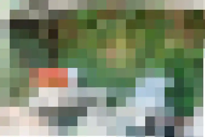 Noordermeent 14 Kraggenburg thumbnail 22