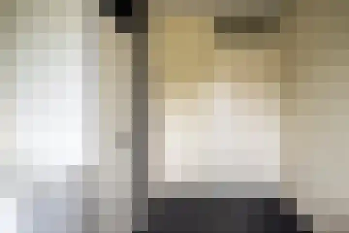 Noordermeent 14 Kraggenburg thumbnail 26