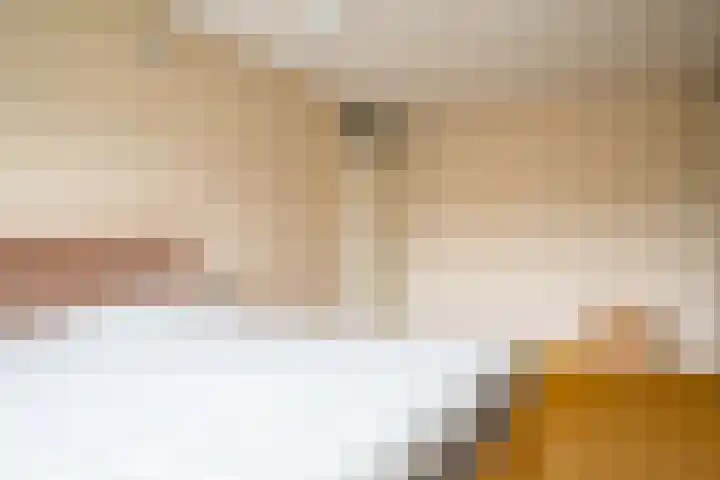 Noordermeent 14 Kraggenburg thumbnail 29