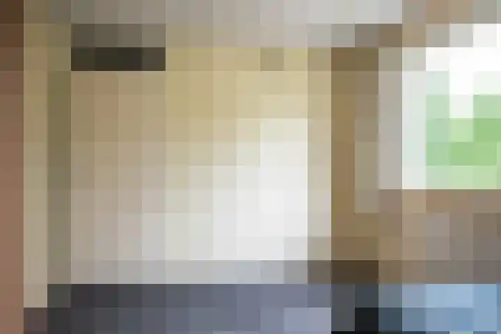 Noordermeent 14 Kraggenburg thumbnail 31